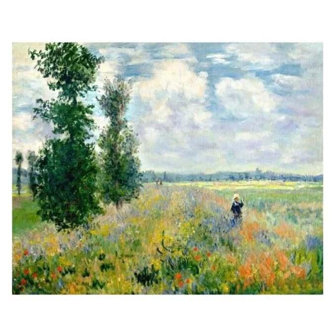 monet hashas bahcesi sayilarla boyama seti 5641