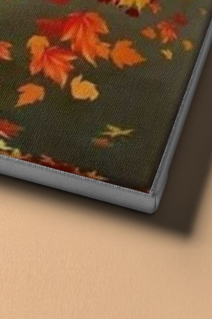 1 org zoom 1217.jpg