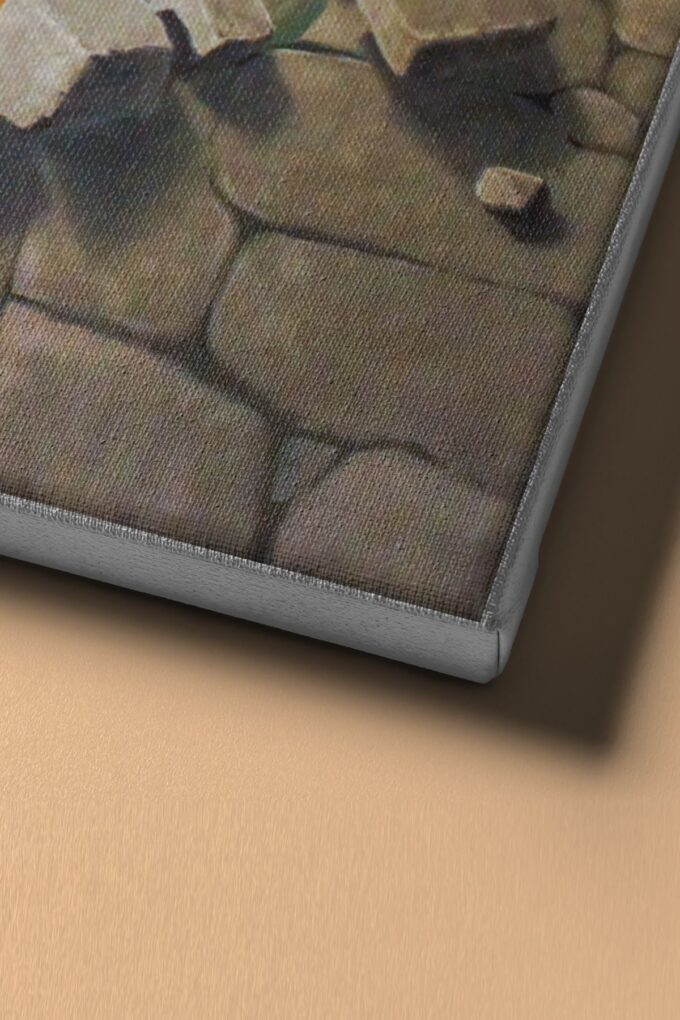 1 org zoom 1229.jpg