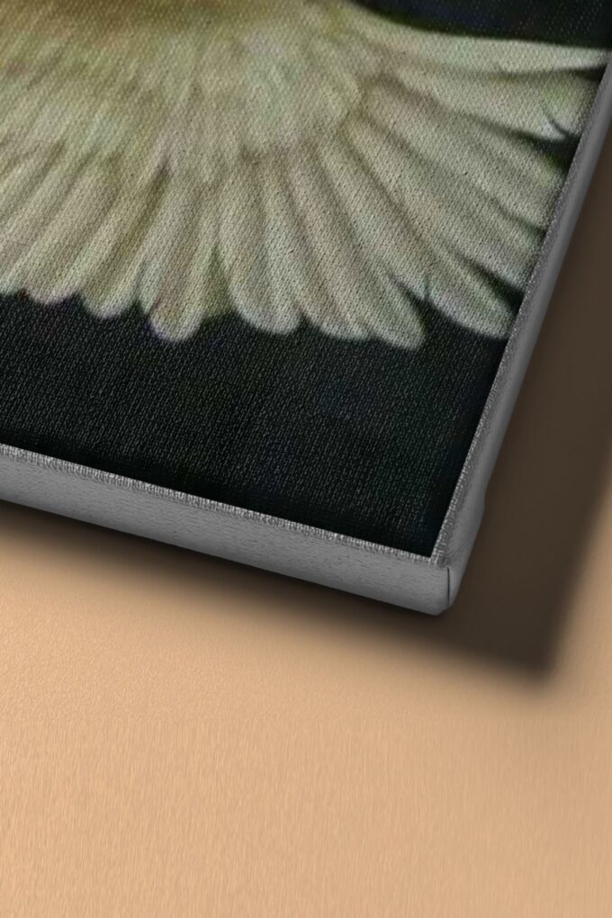 1 org zoom 1393.jpg