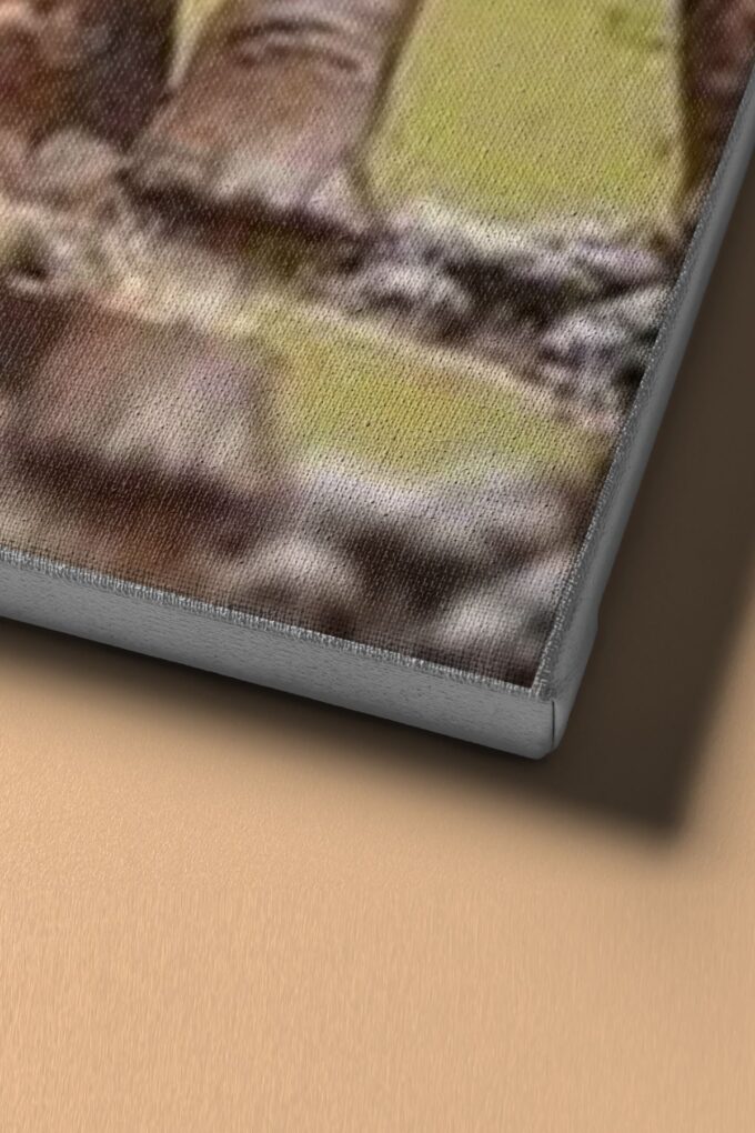 1 org zoom 3073.jpg
