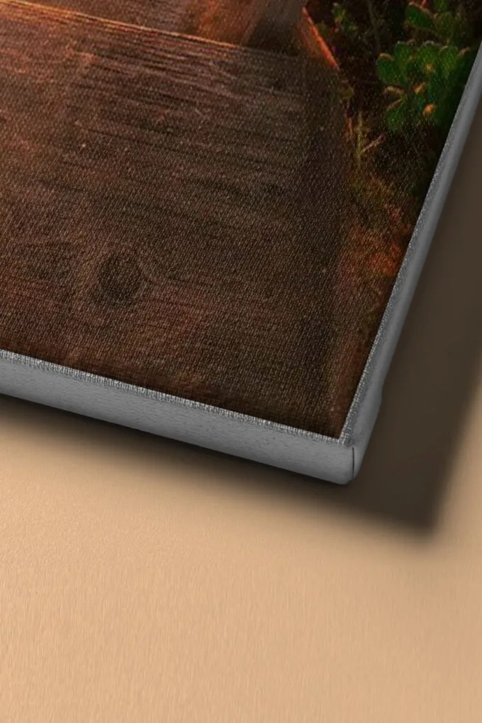 1 org zoom 343.jpg
