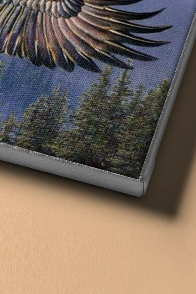 1 org zoom 355.jpg