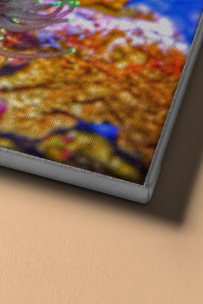 1 org zoom 3607.jpg